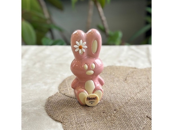 Geboorte bunny rose
