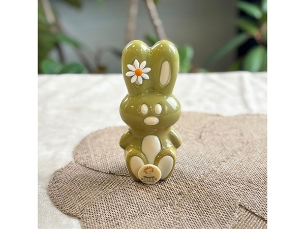 Geboorte bunny groen